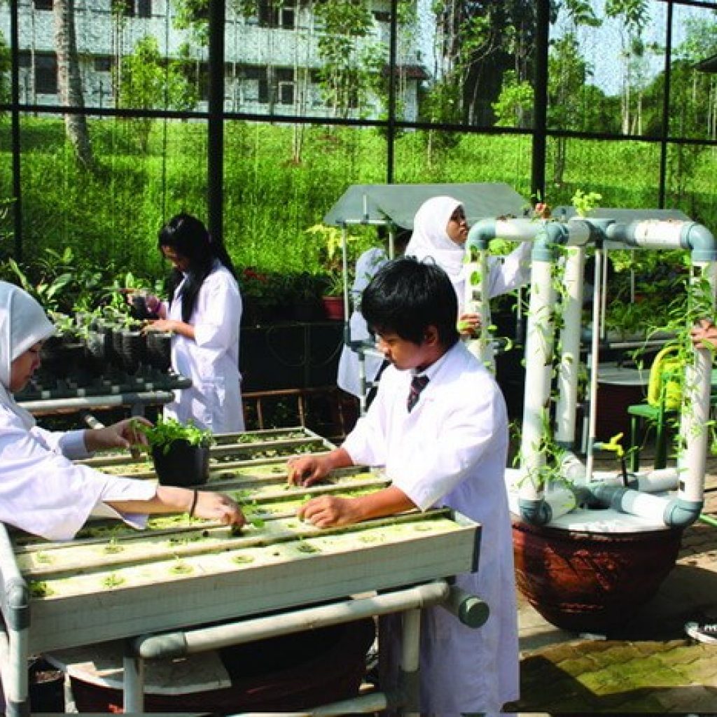 Green House