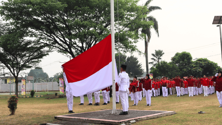 Jurusan kuliah IPS yang jarang Diminati tapi menjanjikan