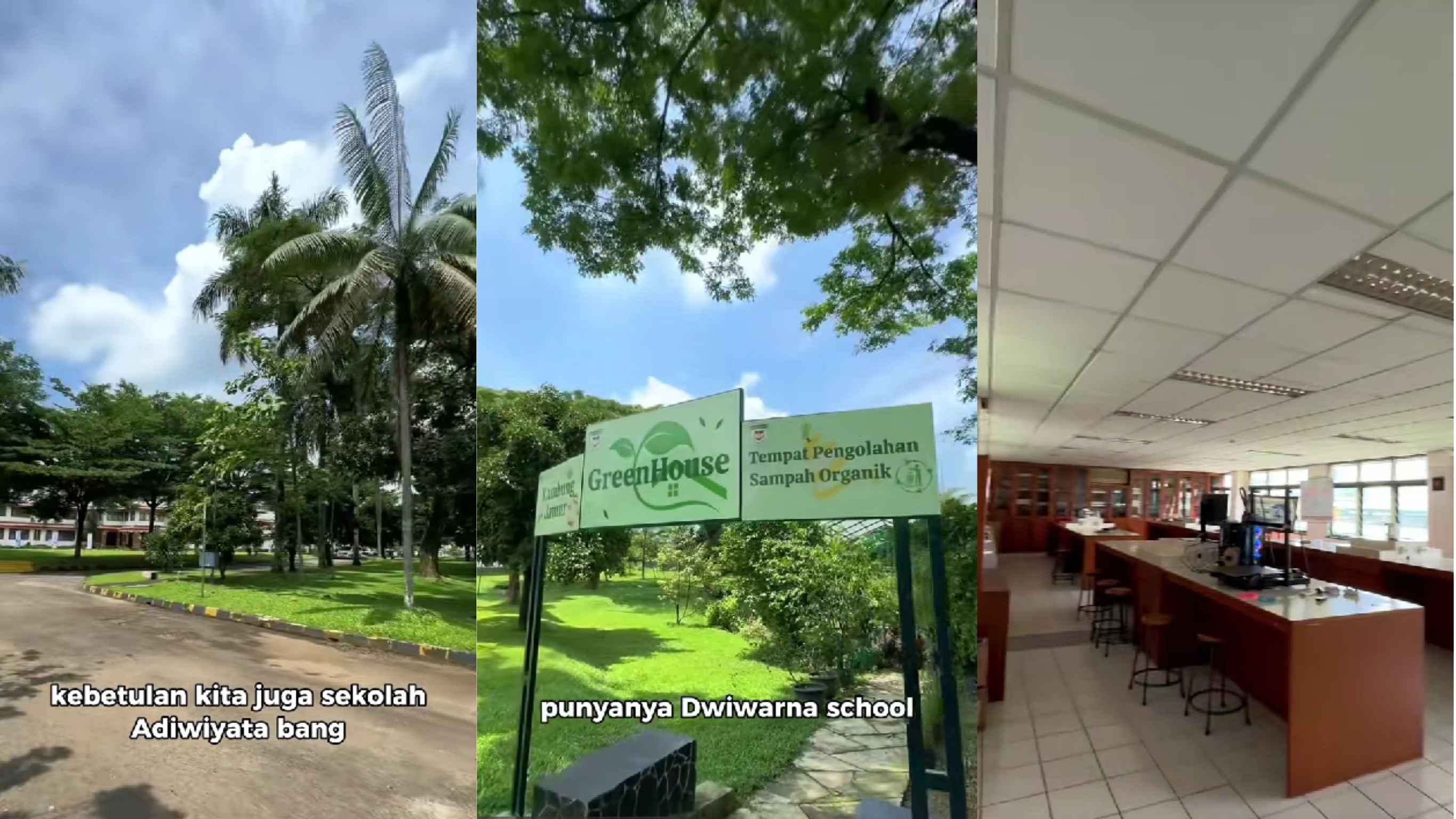Program Green School di SMA Dwiwarna:  Edukasi Lingkungan Nyata